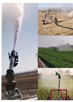 Máquina de rollo de manguera de tipo rociador doméstico de 11 kW para necesidades de riego doméstico