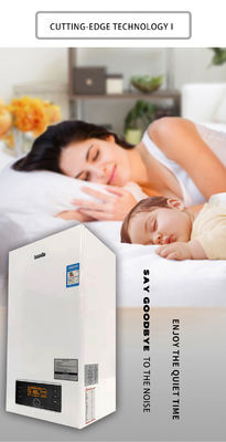 Calentamiento doméstico 20KW 24KW Mini caldera combinada de gas con 2 intercambiadores de calor montados en la pared