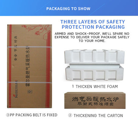 Molde privado Sí Household Pared montada Combinado de gas de la caldera Aplicación controlada pantalla LCD