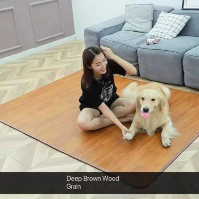 Calentador de manta eléctrico de invierno de hogar privado de moho 220V Calentador de cuerpo único termostato