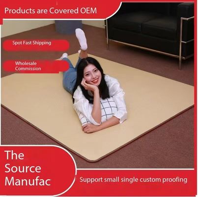 Calentador de manta eléctrico de invierno de hogar privado de moho 220V Calentador de cuerpo único termostato